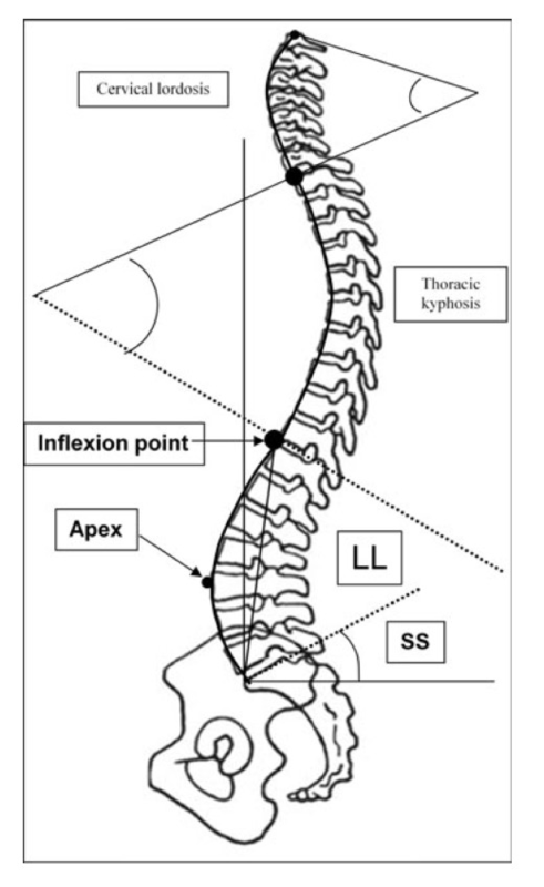 f:id:takumasa39:20150222183435p:plain