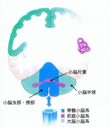 f:id:takumasa39:20150805194613p:plain f:id:takumasa39:20150805194613p:plain