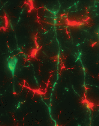 f:id:takumasa39:20160121114515g:plain f:id:takumasa39:20160121114515g:plain