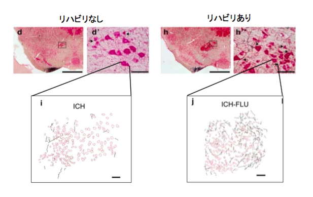f:id:takumasa39:20160121123746p:plain f:id:takumasa39:20160121123746p:plain