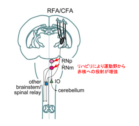f:id:takumasa39:20160121144212p:plain f:id:takumasa39:20160121144212p:plain