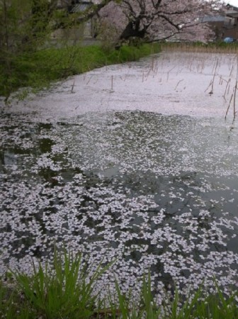 f:id:takumi-2jam:20110427181802j:image f:id:takumi-2jam:20110427181802j:image