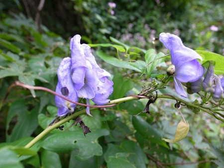 f:id:takumi-2jam:20121004175331j:image f:id:takumi-2jam:20121004175331j:image