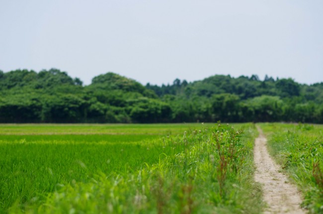 f:id:takumi-2jam:20140617121204j:image f:id:takumi-2jam:20140617121204j:image