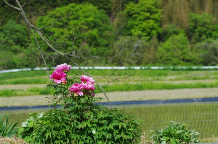 f:id:takumi-2jam:20150508180351j:plain f:id:takumi-2jam:20150508180351j:plain