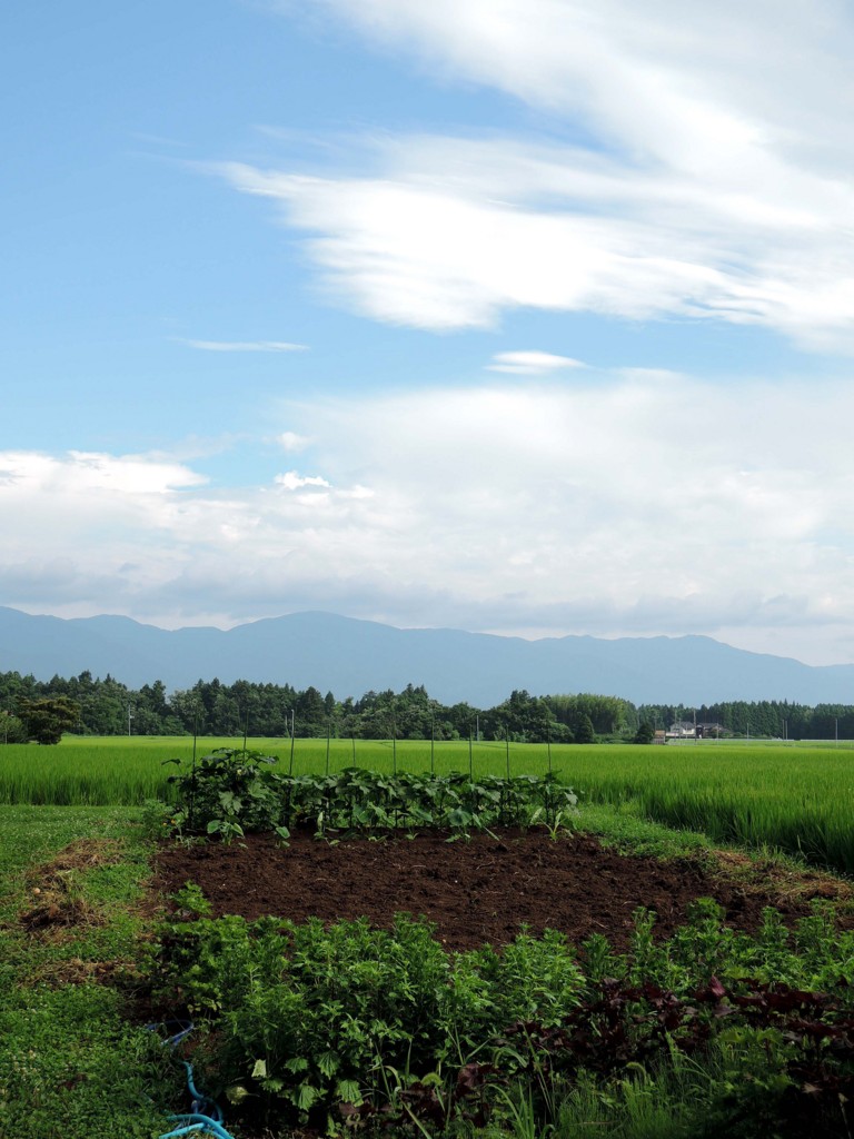 f:id:takumi-2jam:20150726174506j:plain f:id:takumi-2jam:20150726174506j:plain