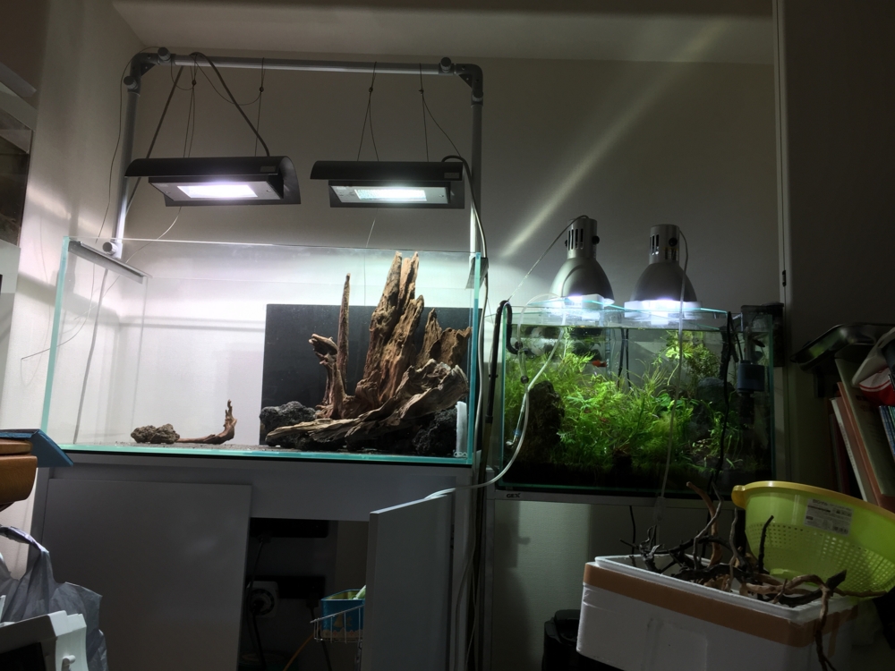 f:id:takumimoai:20150420150633j:plain f:id:takumimoai:20150420150633j:plain