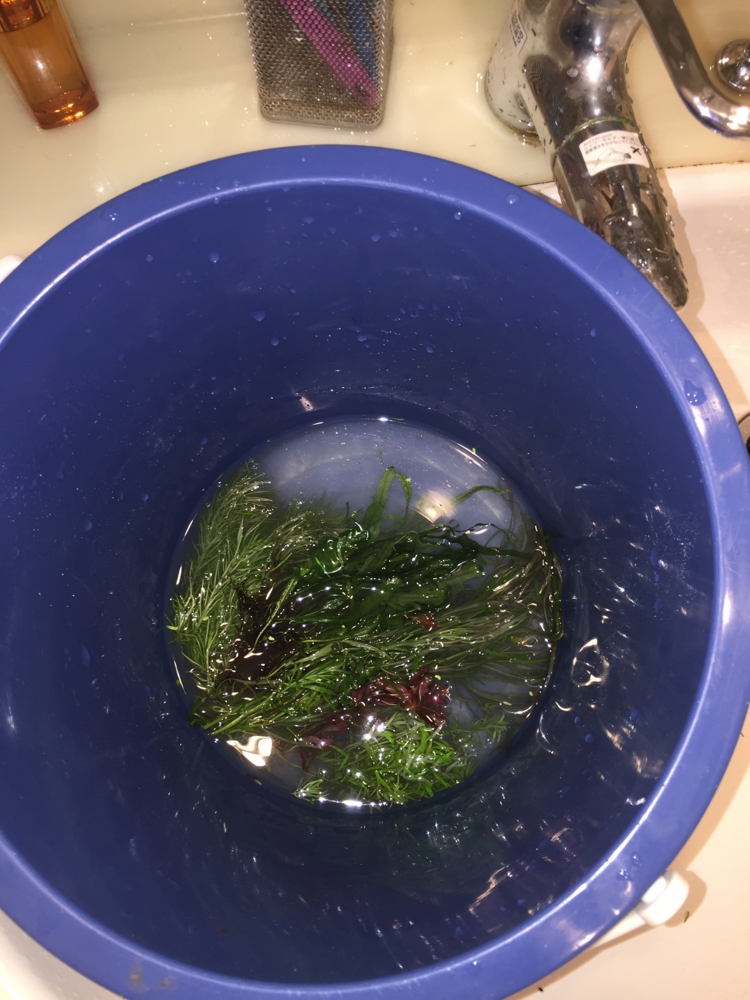 f:id:takumimoai:20150420223101j:plain f:id:takumimoai:20150420223101j:plain