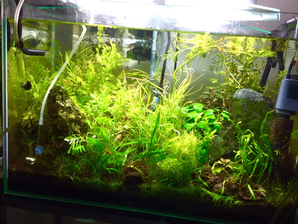 f:id:takumimoai:20150420223432j:plain f:id:takumimoai:20150420223432j:plain