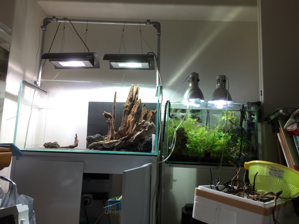 f:id:takumimoai:20150422212233j:plain f:id:takumimoai:20150422212233j:plain