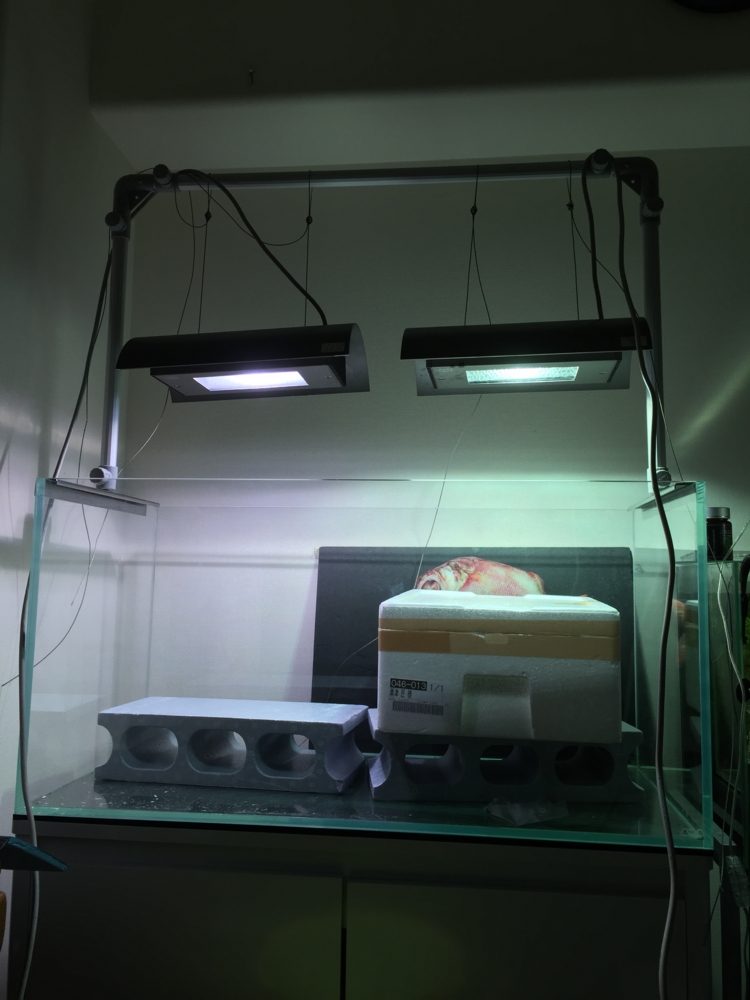 f:id:takumimoai:20150422212329j:plain f:id:takumimoai:20150422212329j:plain