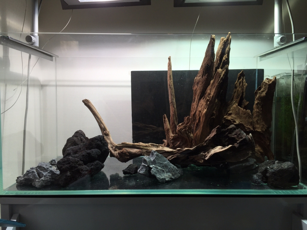 f:id:takumimoai:20150422212559j:plain f:id:takumimoai:20150422212559j:plain