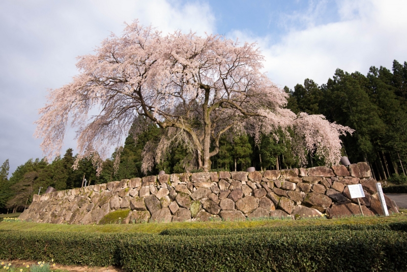 f:id:takutaku223:20150409002206j:plain f:id:takutaku223:20150409002206j:plain