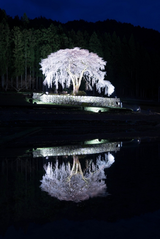 f:id:takutaku223:20150409002300j:plain f:id:takutaku223:20150409002300j:plain