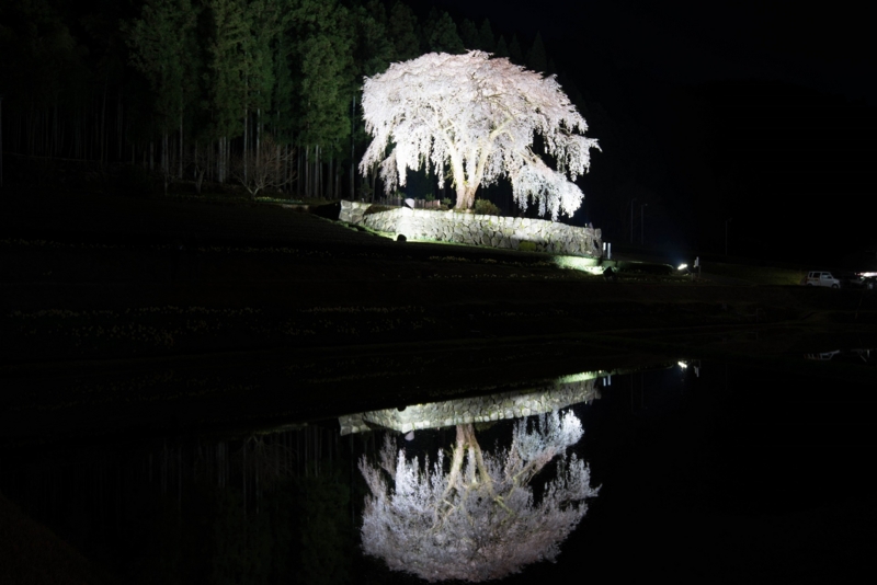 f:id:takutaku223:20150409002321j:plain f:id:takutaku223:20150409002321j:plain