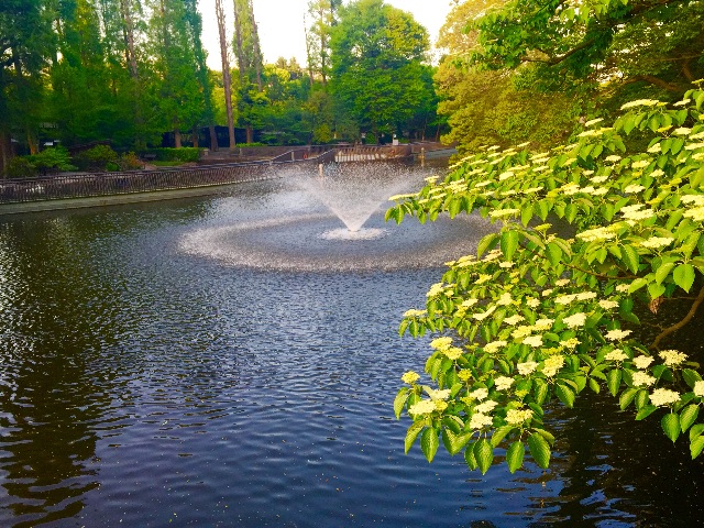 f:id:takuyakonno1989:20150503175724j:image f:id:takuyakonno1989:20150503175724j:image