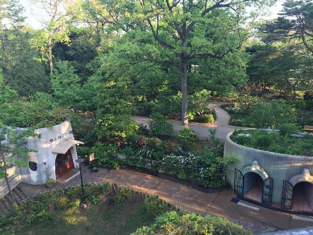 f:id:takuyakonno1989:20150503175729j:image f:id:takuyakonno1989:20150503175729j:image