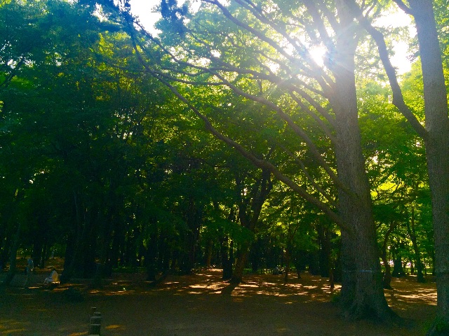 f:id:takuyakonno1989:20150503175759j:image f:id:takuyakonno1989:20150503175759j:image