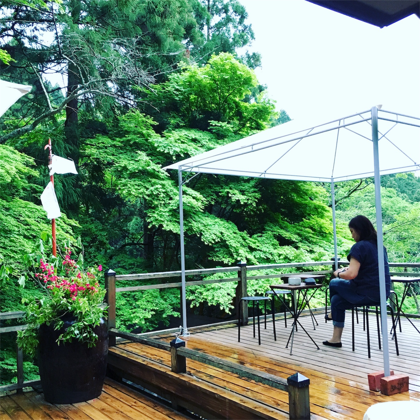 f:id:tama222111:20160504080500j:image f:id:tama222111:20160504080500j:image