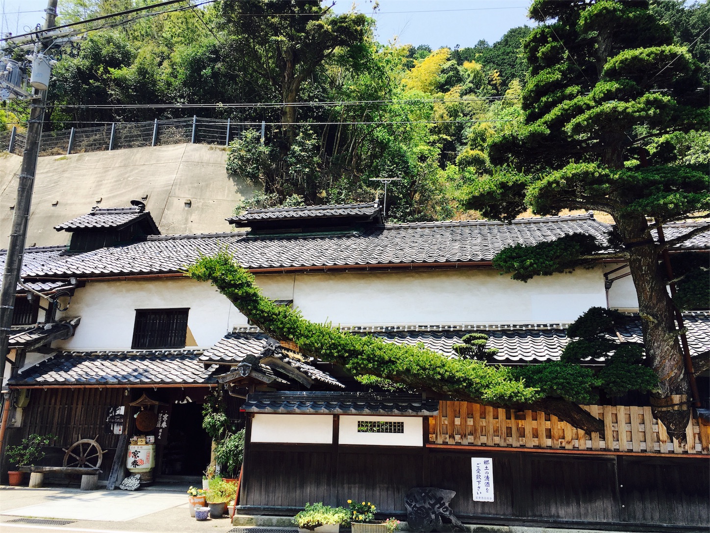 f:id:tama222111:20160531113147j:image f:id:tama222111:20160531113147j:image