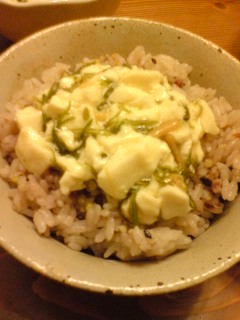 f:id:tama_arai:20091009203822j:image:left f:id:tama_arai:20091009203822j:image:left