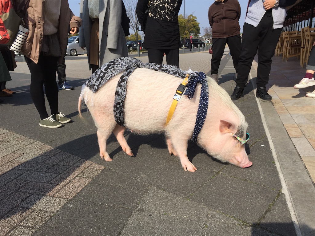 f:id:tamachibi:20160228210939j:image f:id:tamachibi:20160228210939j:image