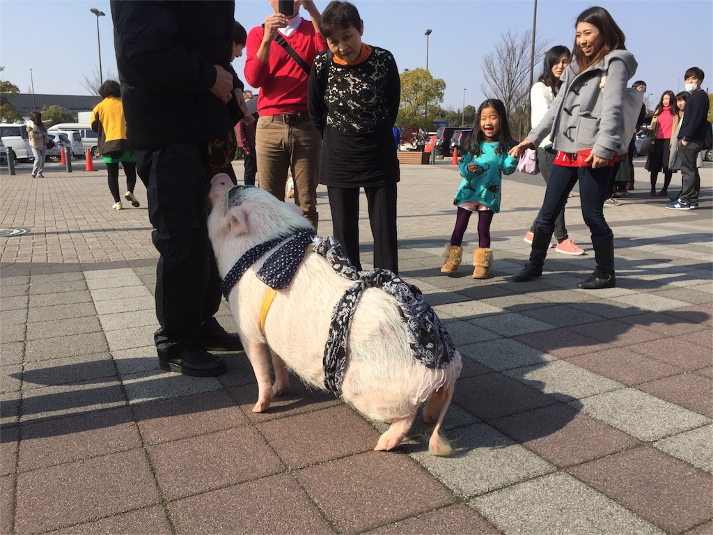 f:id:tamachibi:20160228212351j:image f:id:tamachibi:20160228212351j:image