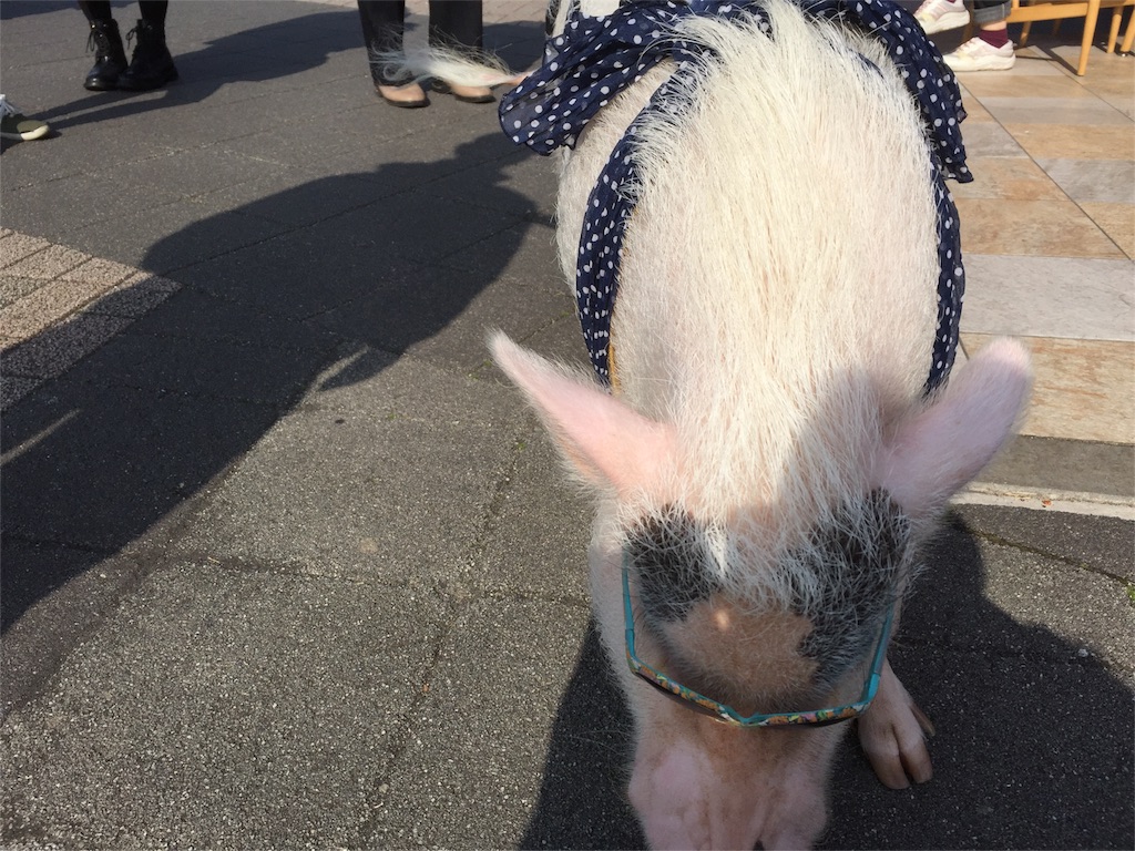 f:id:tamachibi:20160228212526j:image f:id:tamachibi:20160228212526j:image
