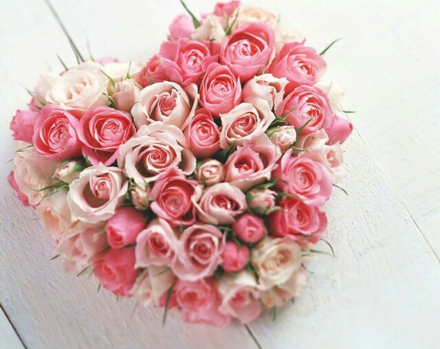 f:id:tamagokakegohanlove:20151231094228j:image f:id:tamagokakegohanlove:20151231094228j:image