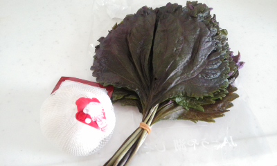 f:id:tamako-makomako:20150716101049j:plain f:id:tamako-makomako:20150716101049j:plain