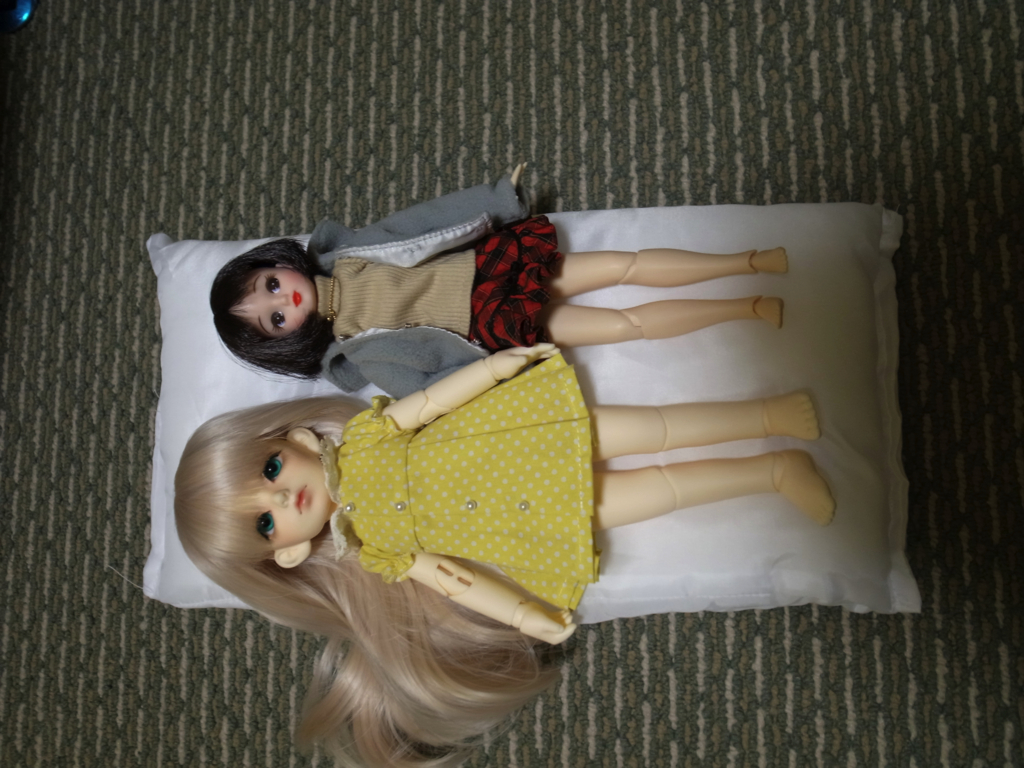 f:id:tamamo0:20151028163928j:plain