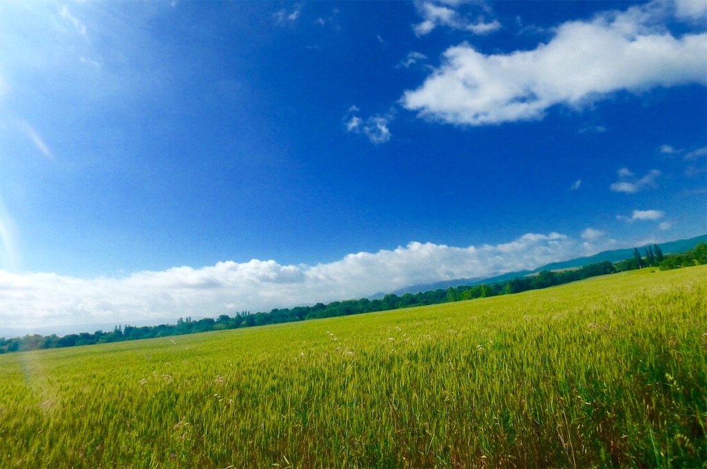 f:id:tamanegiojyou:20160617015648j:image f:id:tamanegiojyou:20160617015648j:image