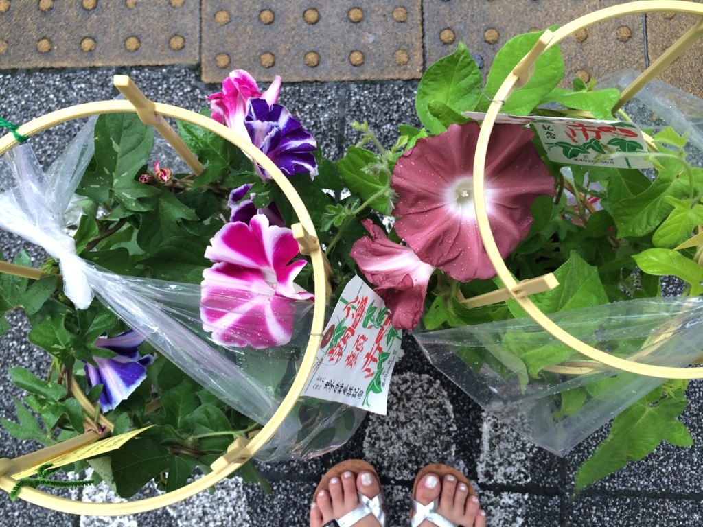 f:id:tamayura10:20150707085424j:plain