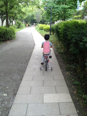 f:id:tamekko:20130623122133j:plain f:id:tamekko:20130623122133j:plain