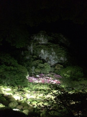 f:id:tamekko:20150430224310j:plain f:id:tamekko:20150430224310j:plain