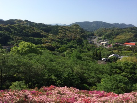 f:id:tamekko:20150501091235j:plain f:id:tamekko:20150501091235j:plain