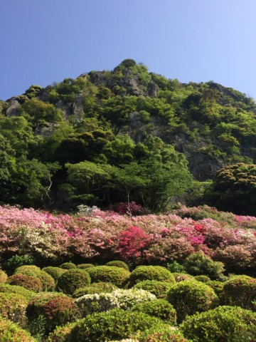 f:id:tamekko:20150501091720j:plain f:id:tamekko:20150501091720j:plain