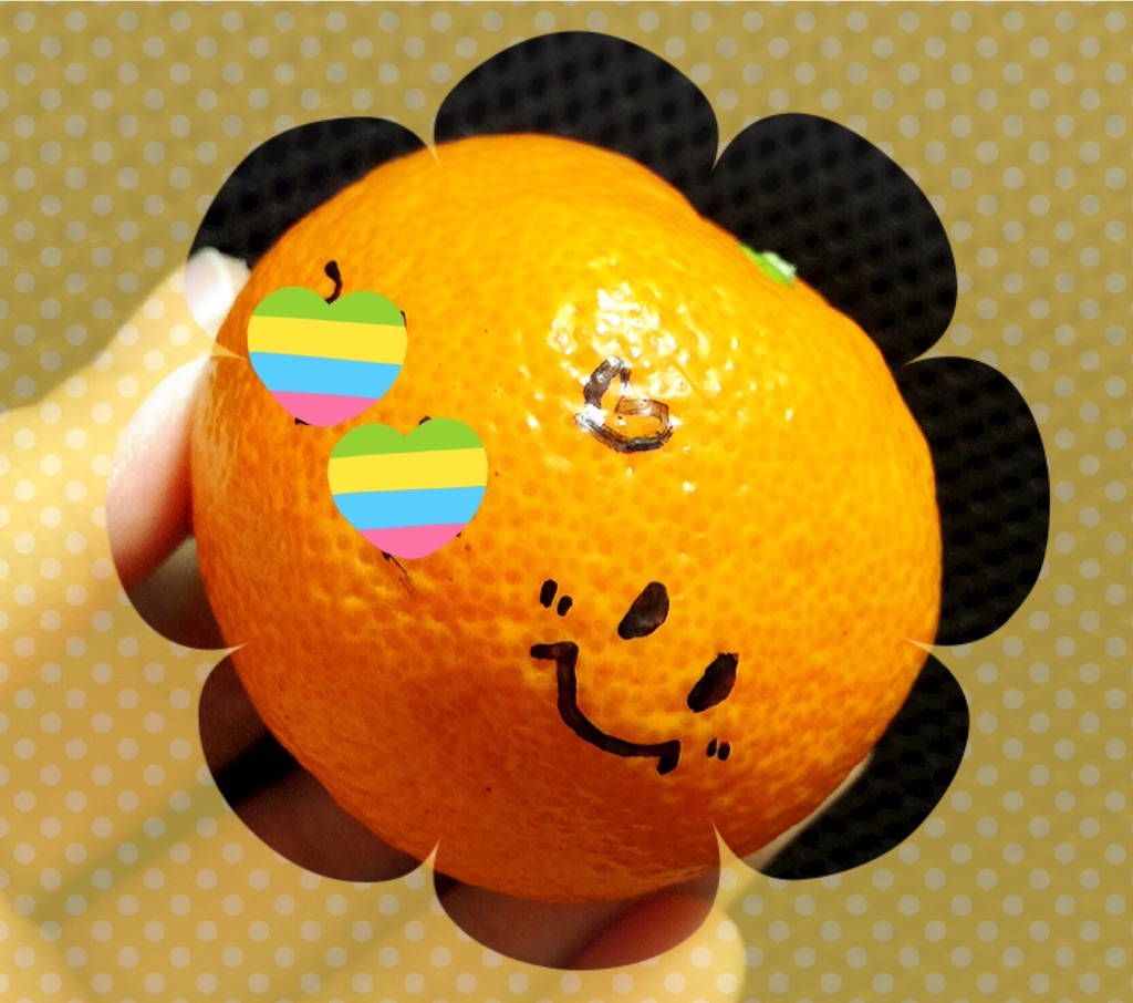 f:id:tammyu1005:20160122094701j:image f:id:tammyu1005:20160122094701j:image