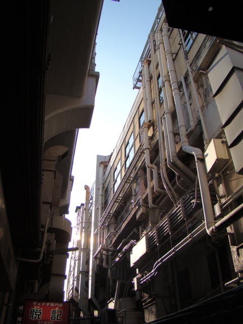 f:id:tamura38:20081229143828j:image:w400 f:id:tamura38:20081229143828j:image:w400