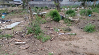 f:id:tamusan:20130420194557j:plain f:id:tamusan:20130420194557j:plain