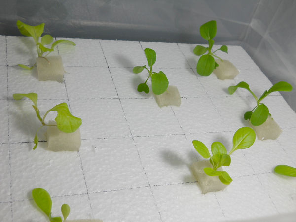 f:id:tana110:20131031213017j:plain f:id:tana110:20131031213017j:plain