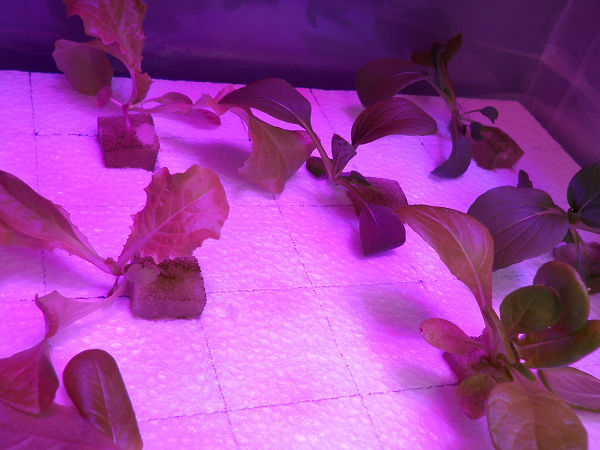 f:id:tana110:20131107222147j:plain