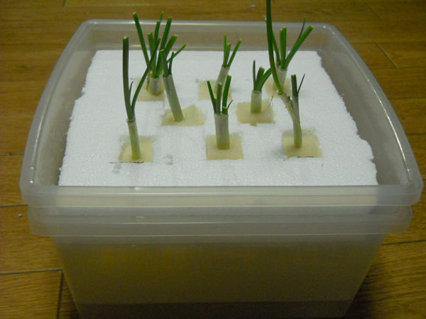 f:id:tana110:20131118215611j:plain