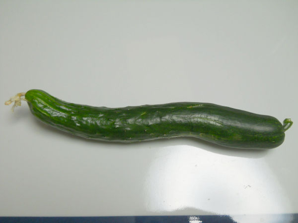 f:id:tana110:20150531225910j:plain f:id:tana110:20150531225910j:plain