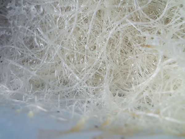 f:id:tana110:20150531230521j:plain f:id:tana110:20150531230521j:plain