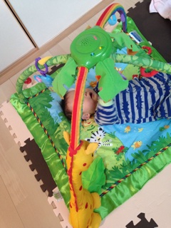 f:id:tananaman:20141122160317j:plain