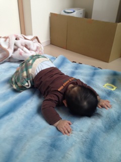 f:id:tananaman:20141228215457j:plain f:id:tananaman:20141228215457j:plain