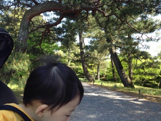 f:id:tananaman:20150505235517j:plain f:id:tananaman:20150505235517j:plain