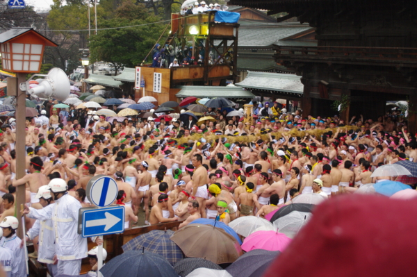 f:id:tangefarm:20100226163135j:image f:id:tangefarm:20100226163135j:image