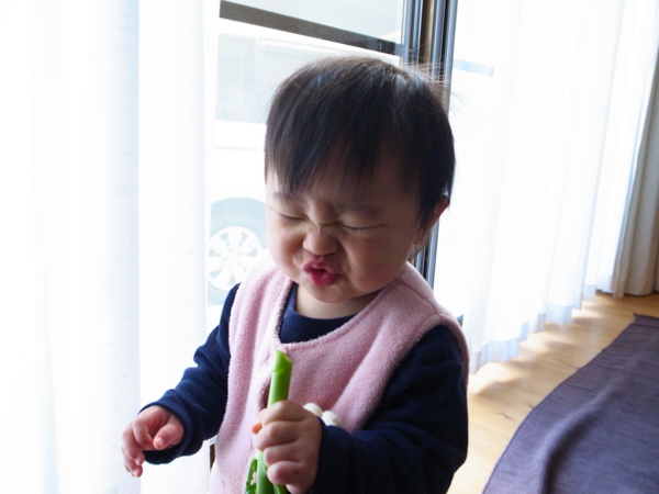 f:id:tangefarm:20111205122723j:image f:id:tangefarm:20111205122723j:image
